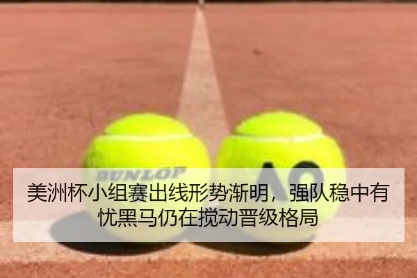 美洲杯小组赛出线形势渐明，强队稳中有忧黑马仍在搅动晋级格局
